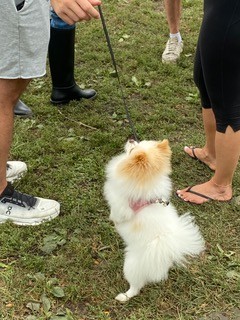 Everyone wants a dumpling!